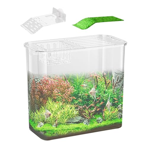 Fish Tank for Betta Fish, Clear Desk Fish Tank, Turtle Tank Starter, Ornamental Fish Bowl, Small Aquarium, Aquarium Starter Kit, Multi-Function Fish Tank, Betta Fish Bowl, Aquarium for Desk von Qhvynpo