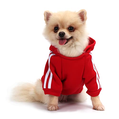 QiCheng&LYS Dog Jacket for Small Dogs, Winter Coat, Chihuahua Welpen Pullover Hoodie (Red, XL) von QiCheng&LYS