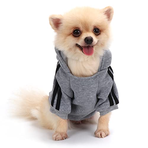 QiCheng&LYS Hunde Hoodie,Kleine Hunde Strickpullover Wintermantel Für Kleine Hunde (Grau, M) von QiCheng&LYS