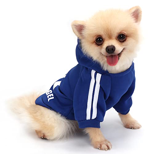 QiCheng&LYS Hunde Pullis Kleine Hunde Hunde Hoodie Pullover Chihuahua Warm Pullover Mantel Pet Kleidung Bekleidung (Navy blau, M) von QiCheng&LYS