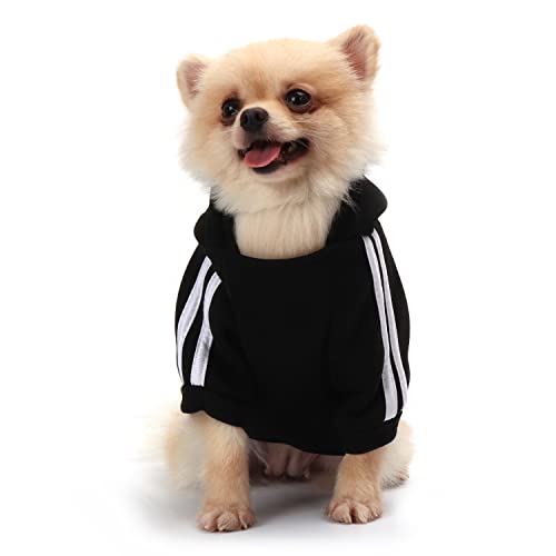 QiCheng&LYS Knitted Dog Hoodie for Small Dogs，Fashion Chihuahua Kleidung,Hundepullover Kleine Hunde,Weich und Warm (Schwarz, XL) von QiCheng&LYS