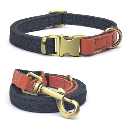 QRDA Hundehalsband und Leine, Blau/Schwarz, personalisierbar, taktischer Gürtel, verstellbar, für kleine Hunde, mittelgroße Hunde von QianRuiDa