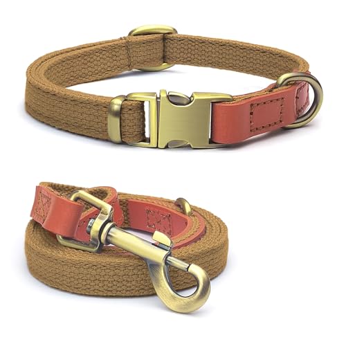 QRDA Hundehalsband und Leine, Farbe Khaki, personalisierbar, taktischer Gürtel, verstellbar, für kleine Hunde, mittelgroße Hunde, große Hunde von QianRuiDa