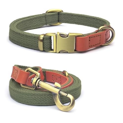 QRDA Hundehalsband und Leine, Militärgrün, personalisierbar, taktischer Gürtel, verstellbar, für kleine Hunde, mittelgroße Hunde von QianRuiDa