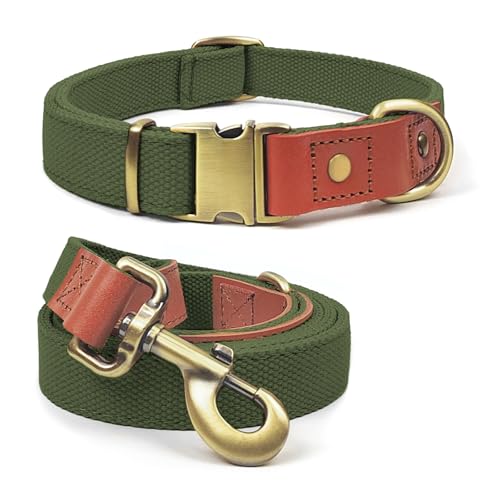 QRDA Hundehalsband und Leine, Militärgrün, personalisierbar, taktischer Gürtel, verstellbar, für mittelgroße und große Hunde von QianRuiDa