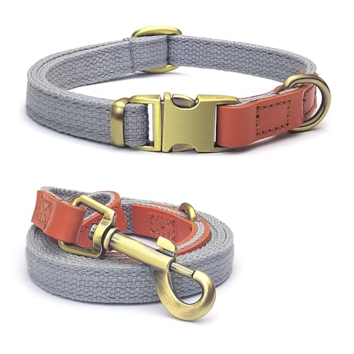 QRDA Hundehalsband und Leine, Silbergrau, personalisierbar, taktischer Gürtel, verstellbar, für kleine Hunde, mittelgroße Hunde von QianRuiDa