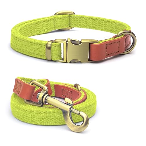 QRDA Set aus Halsband und Leine für Hunde, fluoreszierend, personalisierbar, taktischer Gürtel, verstellbar, für kleine Hunde, mittelgroße Hunde von QianRuiDa