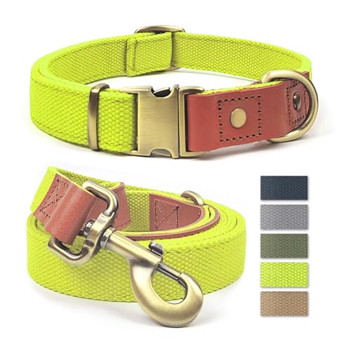 QRDA Set mit Halsband und Leine für Hunde, fluoreszierend, personalisierbar, taktischer Gürtel, verstellbar, für mittelgroße und große Hunde von QianRuiDa