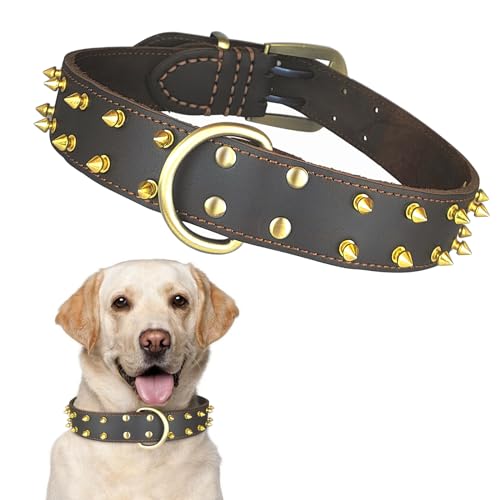 Qianruida Halsband mit Spitze für große Hunde und Katzen, Leder mit Nieten, Nieten, Halsband aus Leder mit Spitzen (XXL, braun) von QianRuiDa