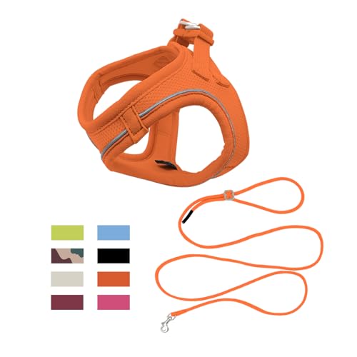 Qianruida Hundegeschirr, Set mit Leine für Hunde, Brustgurt, Katze, Griff, reflektierend, verstellbar, für mittelgroße Katzen, zum Gehen, Laufen (Orange L) von QianRuiDa