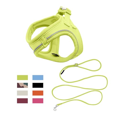 Qianruida Hundegeschirr Set Hundebrustgurt Verstellbarer Reflektierender Hundegeschirr Medium Kleine Katze Hund (Lime Green XXXS) von QianRuiDa