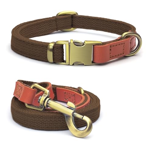 Qianruida Hundehalsband und Leine Set Hunde Halsband und Leine Verstellbares Hundehalsband Hundehalsbänd Leine für Kleine Mittlere Große Hunde- Braun,L von QianRuiDa