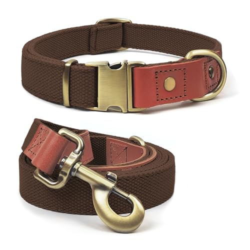 Qianruida Hundehalsband und Leine Set Hunde Halsband und Leine Verstellbares Hundehalsband Hundehalsbänd Leine für Kleine Mittlere Große Hunde- Braun,XL von QianRuiDa