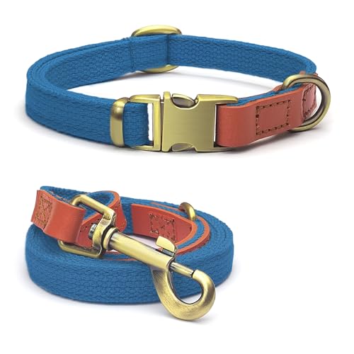 Qianruida Hundehalsband und Leine Set Hunde Halsband und Leine Verstellbares Hundehalsband Hundehalsbänd Leine für Kleine Mittlere Große Hunde- Himmelblau,L von QianRuiDa