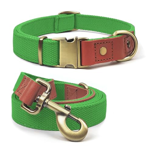 Qianruida Hundehalsband und Leine Set Hunde Halsband und Leine Verstellbares Hundehalsband Hundehalsbänd Leine für Kleine Mittlere Große Hunde- Neongrün,XL von QianRuiDa