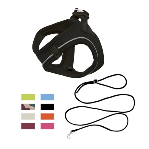 Qianruida Luminous Cat Weste, Harness und Leine Set, Escape Proof Cat Harness, bequem, atmungsaktiv, leicht anzuziehen, für Geschirr für Katzen, kleine Hunde (Schwarz XXXS) von QianRuiDa