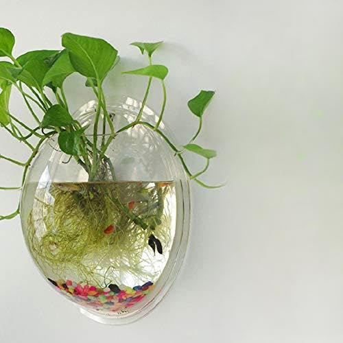 Glas-Pflanzgefäße zum Aufhängen an der Wand, 10 cm/12 cm/15 cm Durchmesser, runder Glas-Pflanztopf – Wasserpflanzvasen, Luftblumenvase, Pflanzgefäß, Terrarien, Pflanzenbehälter (transparent, 15 cm) von Qianderer