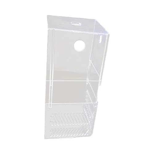 Qianly Aquarium Ecke Schallwand Fisch Tank Sandkasten Überlauf Box Acryl für Fisch Tank Zubehör, 3 Schichten von Qianly