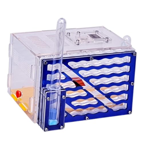 Qianly -Ausstellungsbox, Spielzeug, einfach zu montieren, transparenter Lebensraum, Brutkasten für Kinder, Tagesdekoration, Geschenk für Zuhause Qianly -Ausstellungsbox, Spielzeug, einfach zu montieren, transparenter Lebensraum, Brutkasten für Kinder, Tagesdekoration, Geschenk für Zuhause von Qianly