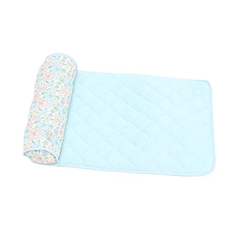 Qianly Hund Kühl Matte mit Kissen für Katzen Bett mit Kissen Isomatte für, L Blau 70x50x11cm von Qianly