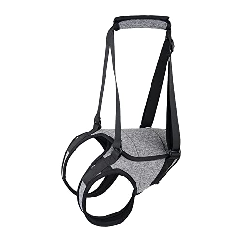 Qianly Hunde-Hebegeschirr Hilfsgürtel Pet Leine für Hinterbeine Gehhilfe Pet Lifting Support Weste Tragbares Senioren-Haustierzubehör, XL von Qianly