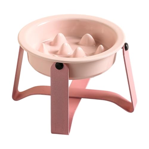 Qianly Langsame Feeder Dog Cat Bowl, langsames Fütterungsnahrungsaufbewahrungsbehälter für Welpen -Haustiere Zubehör, Rosa von Qianly