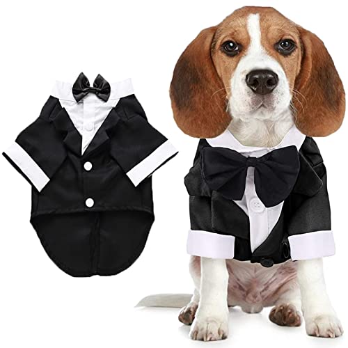 Hunde-Shirt, Welpenkleidung, Haustier-Hochzeitsanzug, formeller Smoking mit schwarzer Fliege, Hunde-Outfit für kleine, mittelgroße Hunde und Katzen, Gentleman Bekleidung (klein, schwarz) von Qidelong