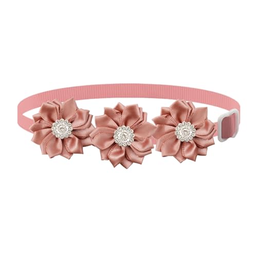 Qiebenav Bequemes Hundehalsband, Haustier-Halsband, verstellbar, Blumenmuster, Strass, Haustierhalsband für Katzen, Hunde, modisch, leicht, Haustierzubehör, Dunkelrosa Qiebenav Bequemes Hundehalsband, Haustier-Halsband, verstellbar, Blumenmuster, Strass, Haustierhalsband für Katzen, Hunde, modisch, leicht, Haustierzubehör, Dunkelrosa von Qiebenav