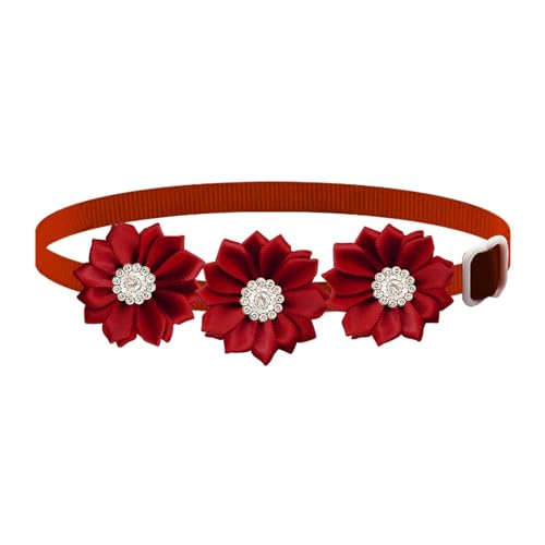Qiebenav Bequemes Hundehalsband, Haustier-Halsband, verstellbar, Blumenmuster, Strass, Haustierhalsband für Katzen, Hunde, modisch, leicht, Haustierzubehör, Dunkelrot Qiebenav Bequemes Hundehalsband, Haustier-Halsband, verstellbar, Blumenmuster, Strass, Haustierhalsband für Katzen, Hunde, modisch, leicht, Haustierzubehör, Dunkelrot von Qiebenav