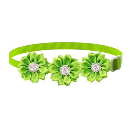Qiebenav Bequemes Hundehalsband, Haustier-Halsband, verstellbar, Blumenmuster, Strass, Haustierhalsband für Katzen, Hunde, modisch, leicht, Haustierzubehör, Grün Qiebenav Bequemes Hundehalsband, Haustier-Halsband, verstellbar, Blumenmuster, Strass, Haustierhalsband für Katzen, Hunde, modisch, leicht, Haustierzubehör, Grün von Qiebenav