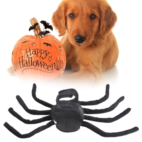 Qiebenav Halloween Haustier Spinne Kostüm Halloween Hund Set Weich Verstellbares Verschlussband Kreative Spinne Haustier Kleidung Für Party L von Qiebenav