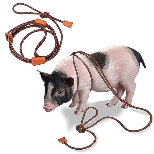 Qigeneimu Mini Pig Harness and Leash, Adjustable Pig Harness Infinity Style Pig Supplies for Walking and Jogging Pets Also Fits Large, Medium and Small Piggy and Other Small Animals Brown von Qigeneimu