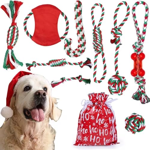 QileQPet Weihnachts-Hundespielzeug, verschiedene Plüsch-Quietschspielzeuge von QileQPet