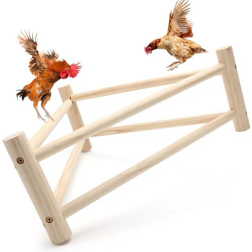 Qinfly Doppelschichtiges Hühnerspielzeug, Hühnersitzstange, Hühnerholzständer für Henne, Hühnerstallzubehör von Qinfly