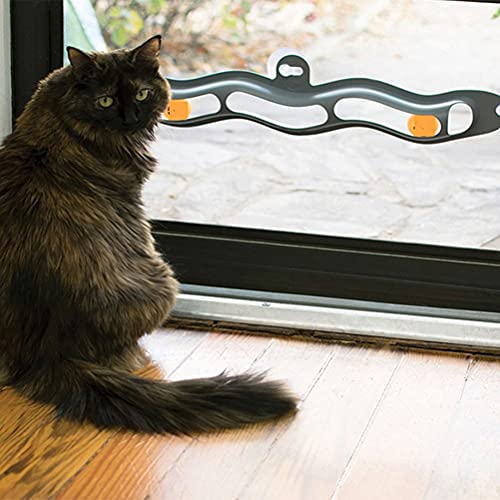 Qingsi 1 Set Katzenfenster Track Ball Spielzeug Katze Track Spielzeug mit Übungsball Haustier Track Ball Spielzeug Katze Interaktives Spielzeug Lustige Katze Lernspielzeug Haustier Zubehör Geschenk für Katzen von Qingsi