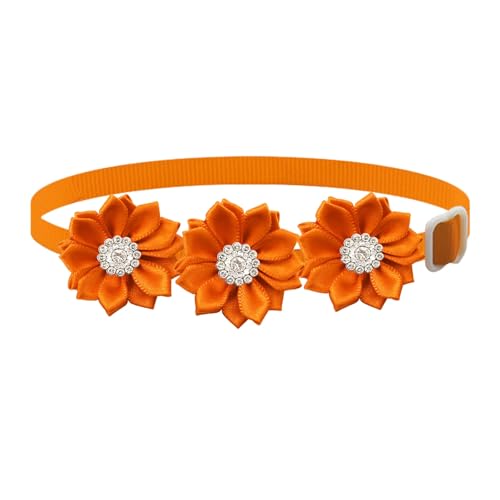 Qinlenyan Weiches Haustierhalsband, trendiges Haustierhalsband, verstellbar, Blumenmuster, Strass, Haustierhalsband für Katzen, Hunde, modisch, leicht, Haustierzubehör, Orange von Qinlenyan