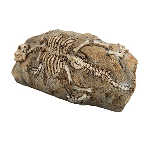 Qinlorgo Reptilien-Dinosaurier-Fossil-Dekoration, Langlebig, Schön, Lebendig, Aquarium-Dinosaurier-Fossil-Ornament, Simulationsharz für Aquarien für Wohnumgebung von Qinlorgo