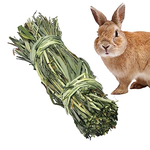 Qiongni Kauspielzeug für Kaninchen | Meergrasball | Natürliche Leckereien für Kaninchenzähne knirschen und nagen - für Eichhörnchen, Meerschweinchen, Chinchilla, Hamster von Qiongni