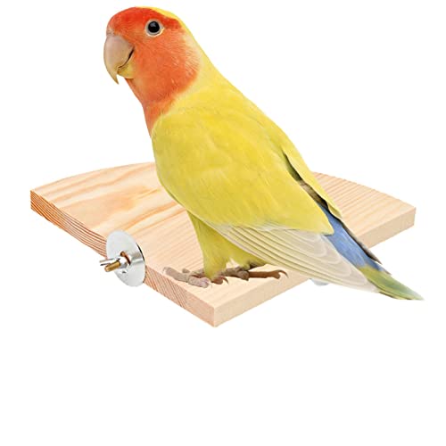 Qiongni Vogelsitzstange Ständer Spielzeug – Fächerform Papageienständer Springboard Sitzstange – Übungskäfig Zubehör Ständer Sitzstange für Igel Wellensittiche Nymphensittiche von Qiongni