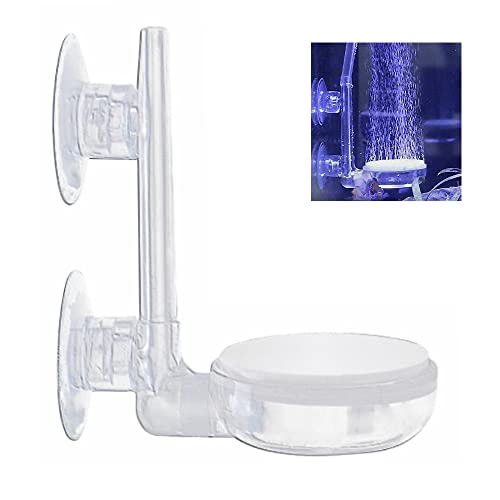 Qiwenr Ausströmer Aquarium Fisch Tank Bubble Luft Stein Blase,mit Steuerventil Leise Super-High Diffusor für gelösten Sauerstoff Lässt Super Tiny Bubbles für Aquarium und Hydroponic(35MM) von Qiwenr