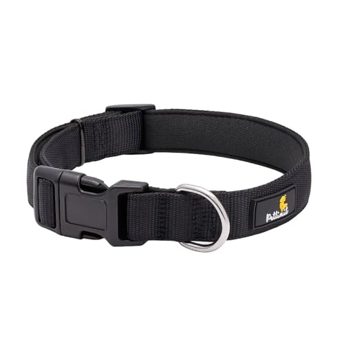 Qiwenr Hundehalsband, Verstellbare Nylon Hunde Halsband, Dickes Hundehalsband, Hundehalsband aus Nylon, das Hundehalsband ist Verstellbar und Passt auf Einen Halsumfang von 35–50 cm (Schwarz-M) von Qiwenr