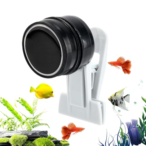 Qkbuza Algen-Futterclip,Effizienter Futterhalter Mit Magnetischer Aquariumfunktion - Magnetisch Automatisch Kompakt Vielseitig Für Süßwasser Salzwasser Schildkröten Betta Qkbuza Algen-Futterclip,Effizienter Futterhalter Mit Magnetischer Aquariumfunktion - Magnetisch Automatisch Kompakt Vielseitig Für Süßwasser Salzwasser Schildkröten Betta von Qkbuza