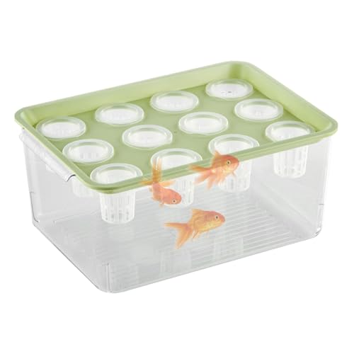 Qkbuza Aquaponischer Pflanzer und Aquarium für Fische, Aquaponic Pflanzer und Aquarium für Betta Fish | Anlagenverteilungsstation,Home Betta Fischtank Hydroponic Plant Propagation Station für Frauen von Qkbuza