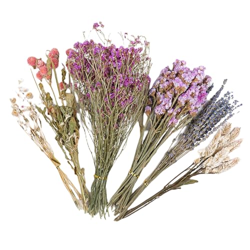 Qkbuza Hamster Einstreu Trockenblumen Für Hamster Einstreu Natürlich Getrocknete Für Sommer Desodorierungs Und Landschafts Zubehör Für Chinchillas Eichhörnchen Qkbuza Hamster Einstreu Trockenblumen Für Hamster Einstreu Natürlich Getrocknete Für Sommer Desodorierungs Und Landschafts Zubehör Für Chinchillas Eichhörnchen von Qkbuza