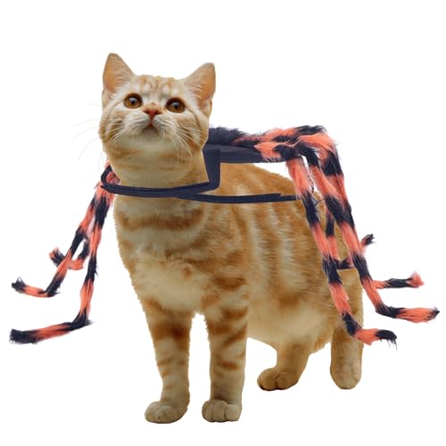 Qkbuza Hundekostüm Halloween Spinne | Halloween Spinnen Outfit Für Kleine Hunde,Verkleidung Zubehör Für Welpen Events Feste Karneval Fotoshooting Qkbuza Hundekostüm Halloween Spinne | Halloween Spinnen Outfit Für Kleine Hunde,Verkleidung Zubehör Für Welpen Events Feste Karneval Fotoshooting von Qkbuza