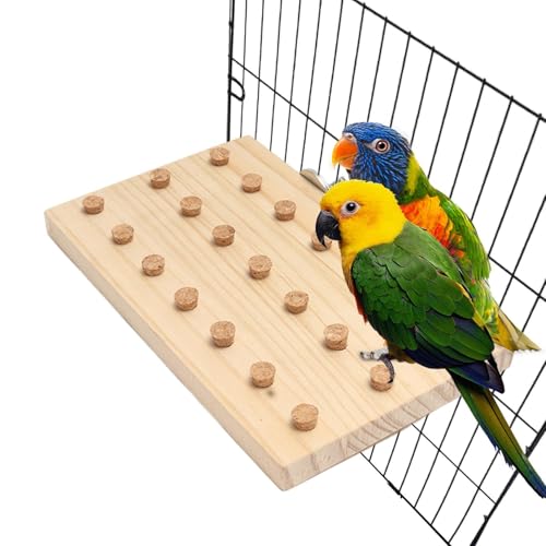 Qkbuza Vogeltrainingsspielzeug, Spielzeug zur Anreicherung der Vögel – Die Spiele mit verschleißfesten Wellensittichen Zug der Parrot Puzzle-Spielzeuge | GiF Aktivität auf kleinem Gelände von Qkbuza