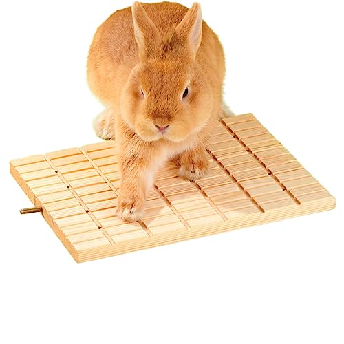 Kaninchen-Kratzbrett aus Holz | Bunny Holz-Kratzbrett mit Füßen, Polsterplattform | Spielzeug zum Zähneknirschen, Kratzkissen, Spielzeug und Käfigzubehör für Hamster, Chinchilla, Qmisify von Qmisify