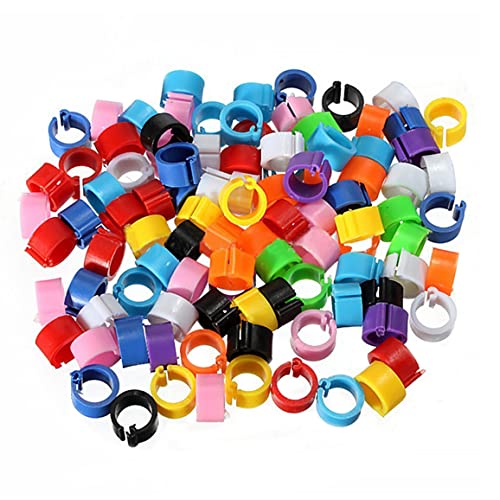 QmjdDymx Birds Foot Rings 100 Stcs 8 mm farbenfrohe Plastik -Identifikationsring -Ringmarkierung für Taubenküken Bantams und Lovebirds, Birds Fußring, Geflügelringe Band von QmjdDymx