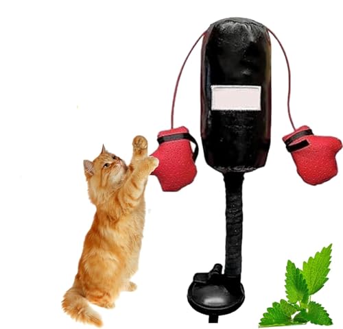 Qoobom Cat Punching Bag Toy, Punching Bag with Gloves Cat Toy, Interactive Kitten Toys Punching Bag, Punching Bag Play Gym for Kittyweight Champions (1Pcs) von Qoobom