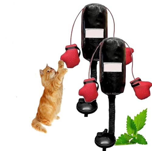 Qoobom Cat Punching Bag Toy, Punching Bag with Gloves Cat Toy, Interactive Kitten Toys Punching Bag, Punching Bag Play Gym for Kittyweight Champions (2Pcs) von Qoobom